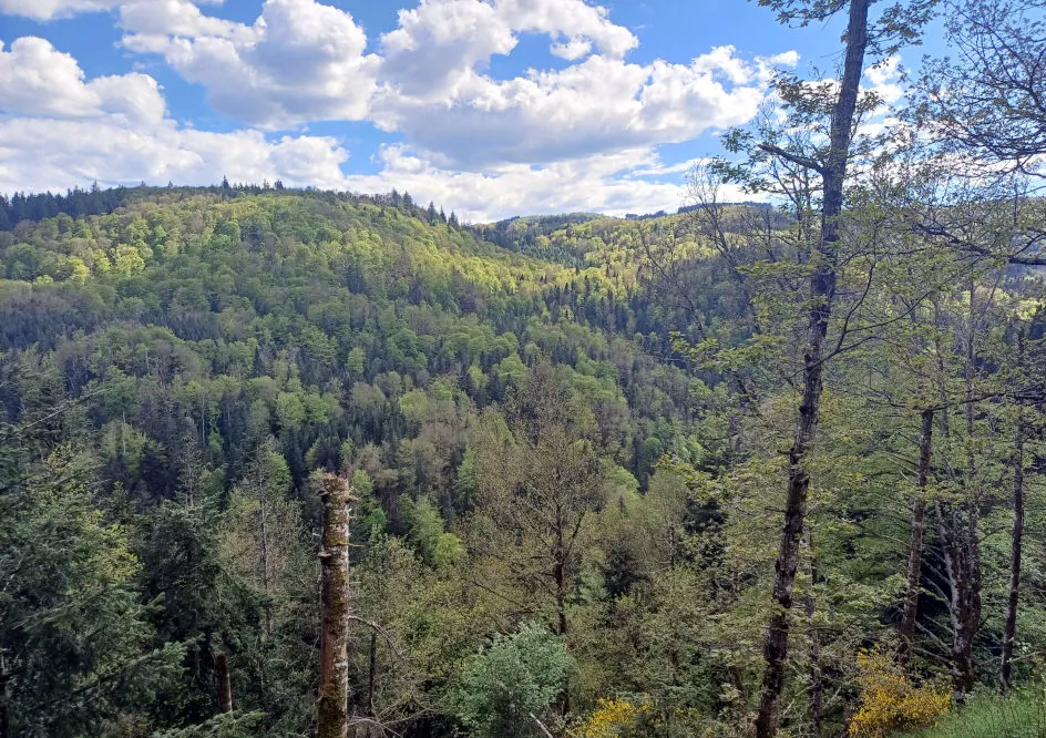 Gorges de la Rhue