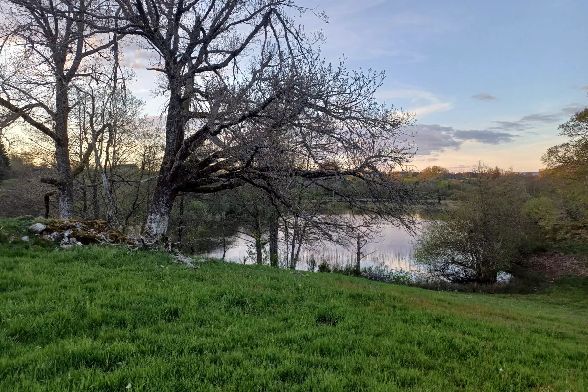 Bivouac devant les lacs d'Auvergne