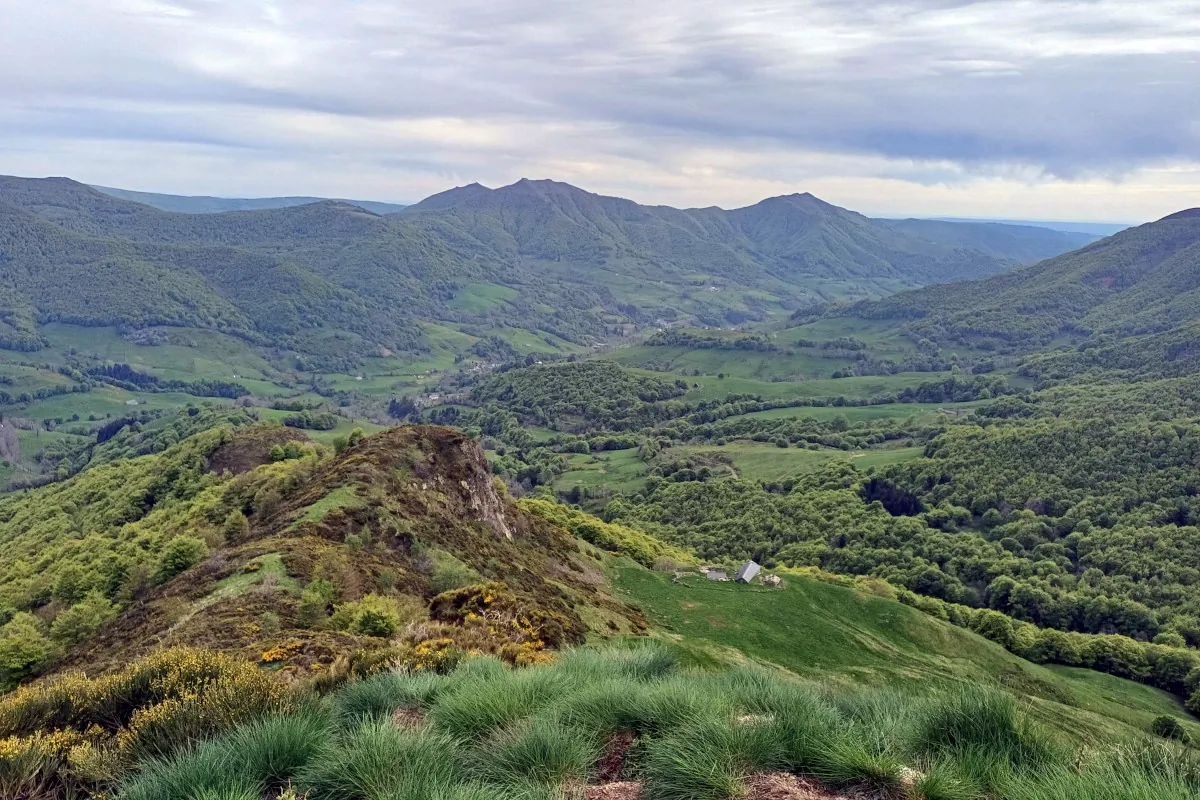 Vallée Mandaille depuis la montée du Pas de Peyrol