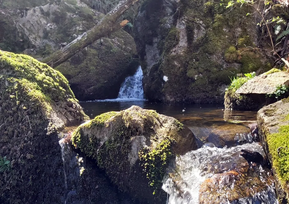 petite cascade dans la réserve du rocher de la jaquette