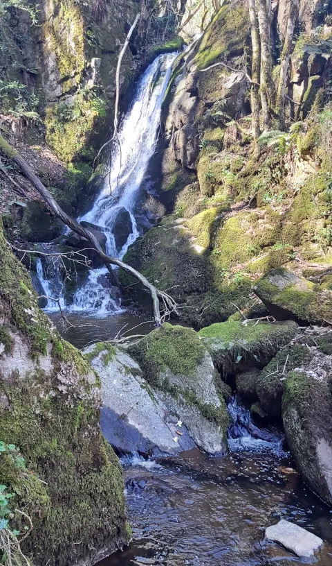 magnifique chute d'eau réserve naturelle jaquette