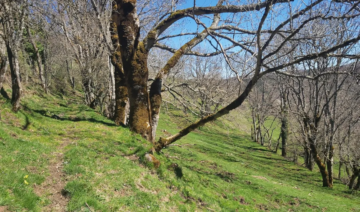 réserve naturelle du rocher de la jaquette