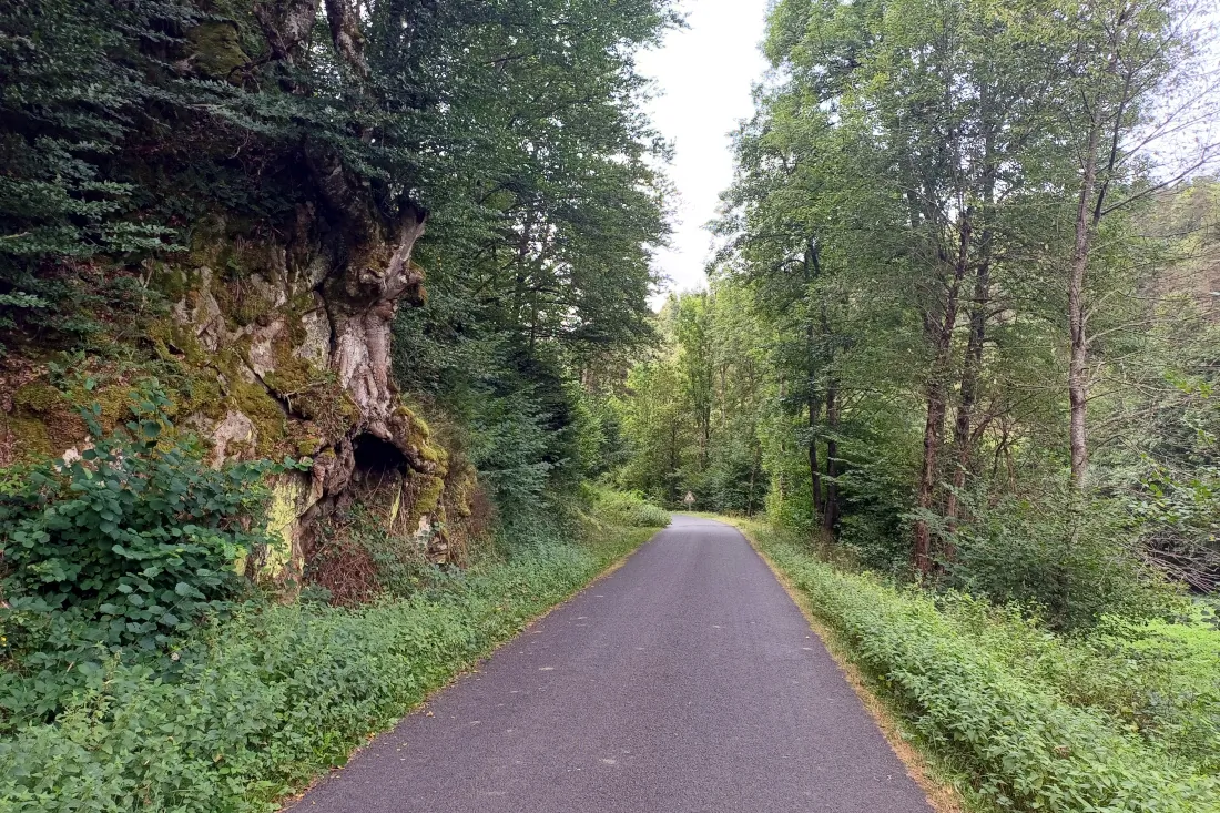 descente route du Doulon