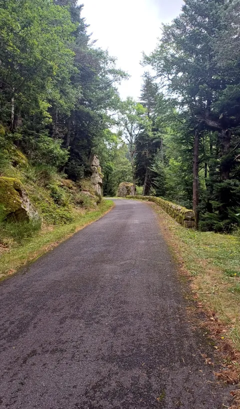 route avec murets en pierre dans la nature